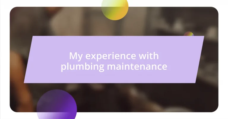 My experience with plumbing maintenance