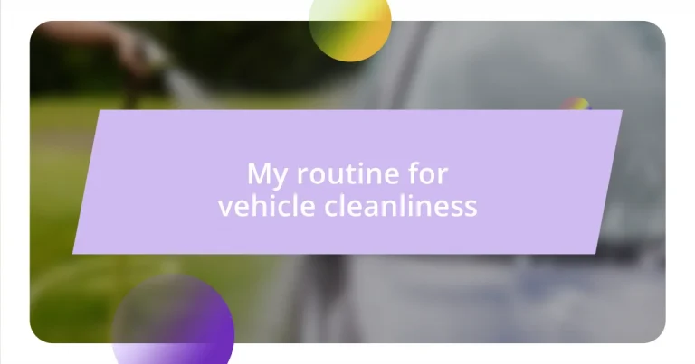 My routine for vehicle cleanliness